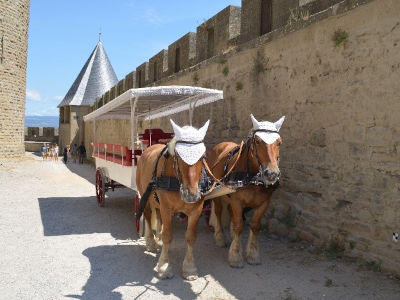 caleche carcassonne